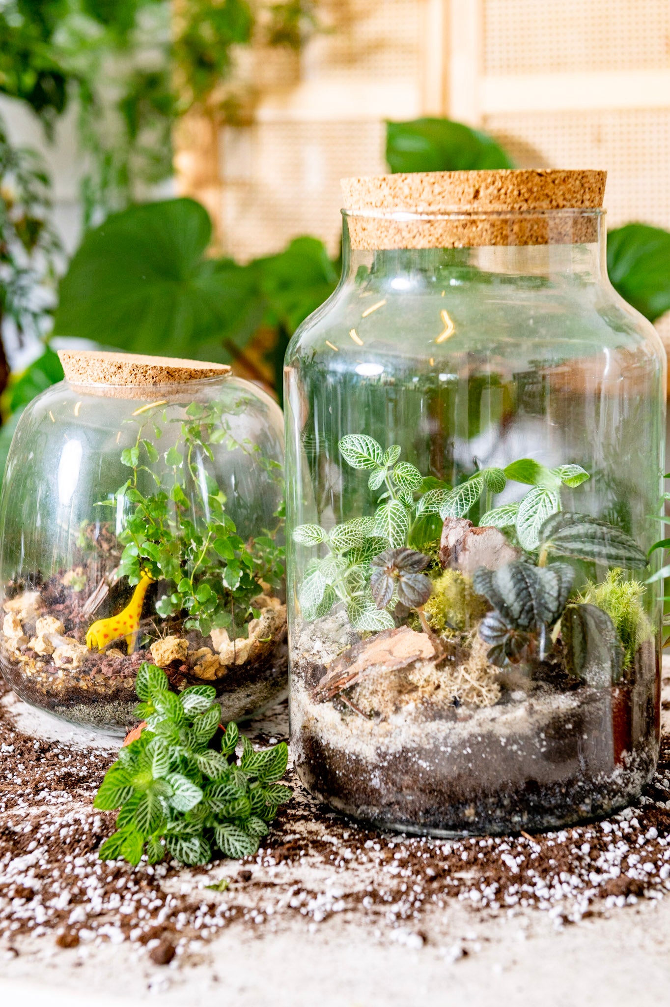 Kinderworkshop terrariums bouwen - groene vingers voor kinderen
