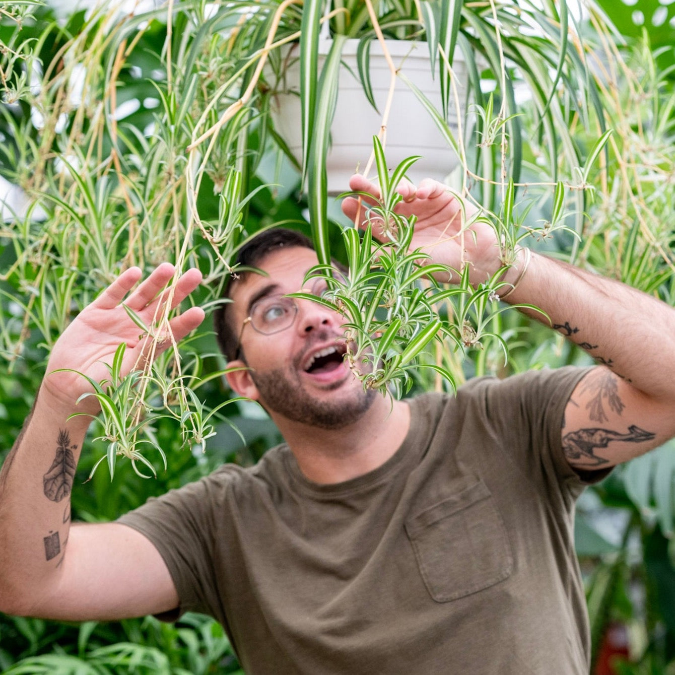 Workshop kamerplanten masterclass - planten verzorgen voor gevorderden