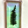 Workshop vlinders tussen glas
