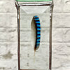 Workshop vlinders tussen glas