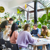 Workshop glas-in-lood - Maak je eigen unieke glasraam (3u)