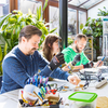Workshop glas-in-lood - Maak je eigen unieke glasraam (3u)