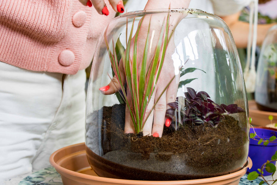 Workshop terrarium bouwen