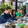 Workshop glas-in-lood - XXL