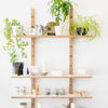 Workshop kamerplanten verzorgen & verpotten