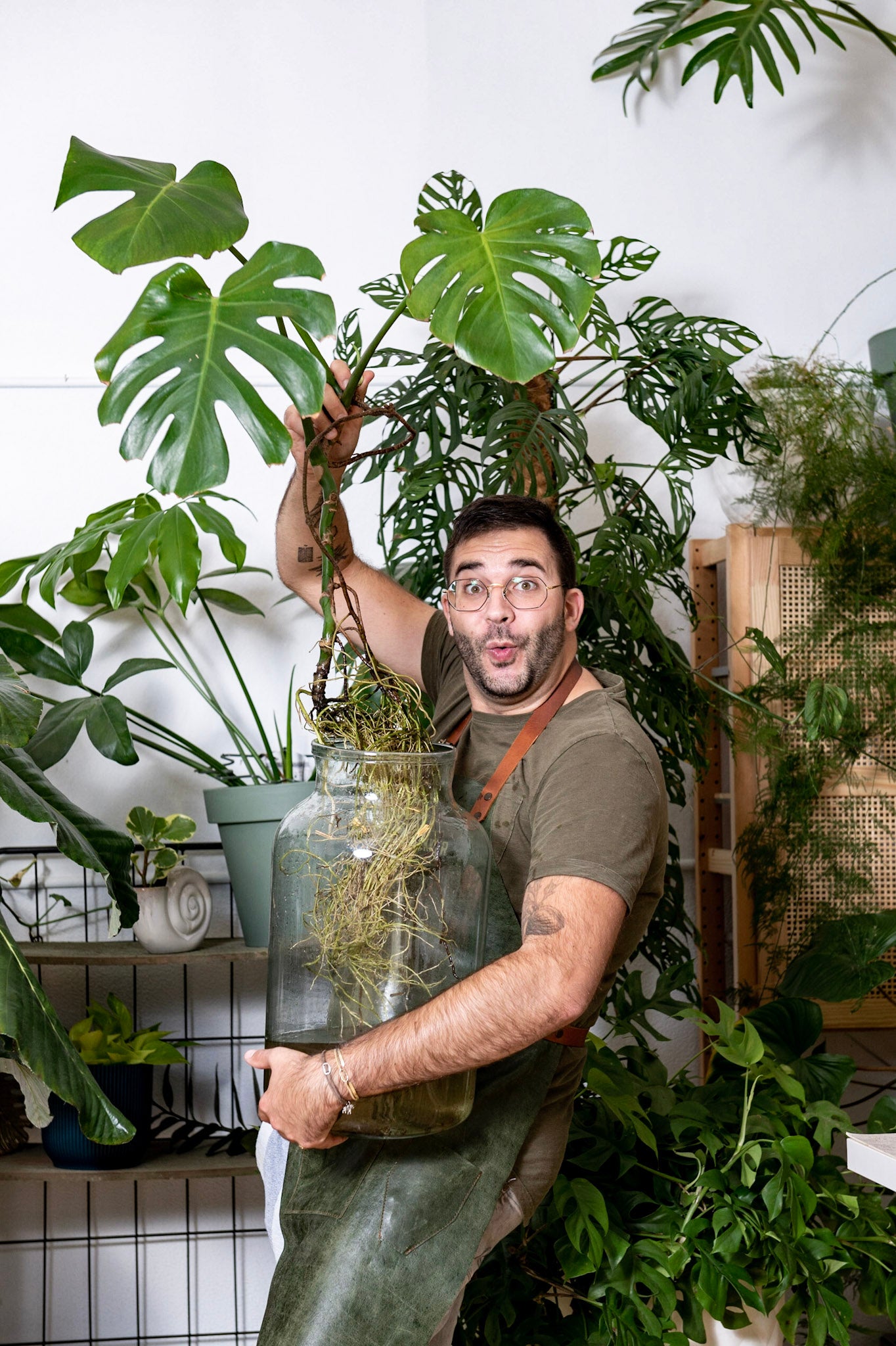 Workshop kamerplanten stekken en vermeerderen - kweek je eigen jungle