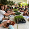 Workshop kamerplanten masterclass