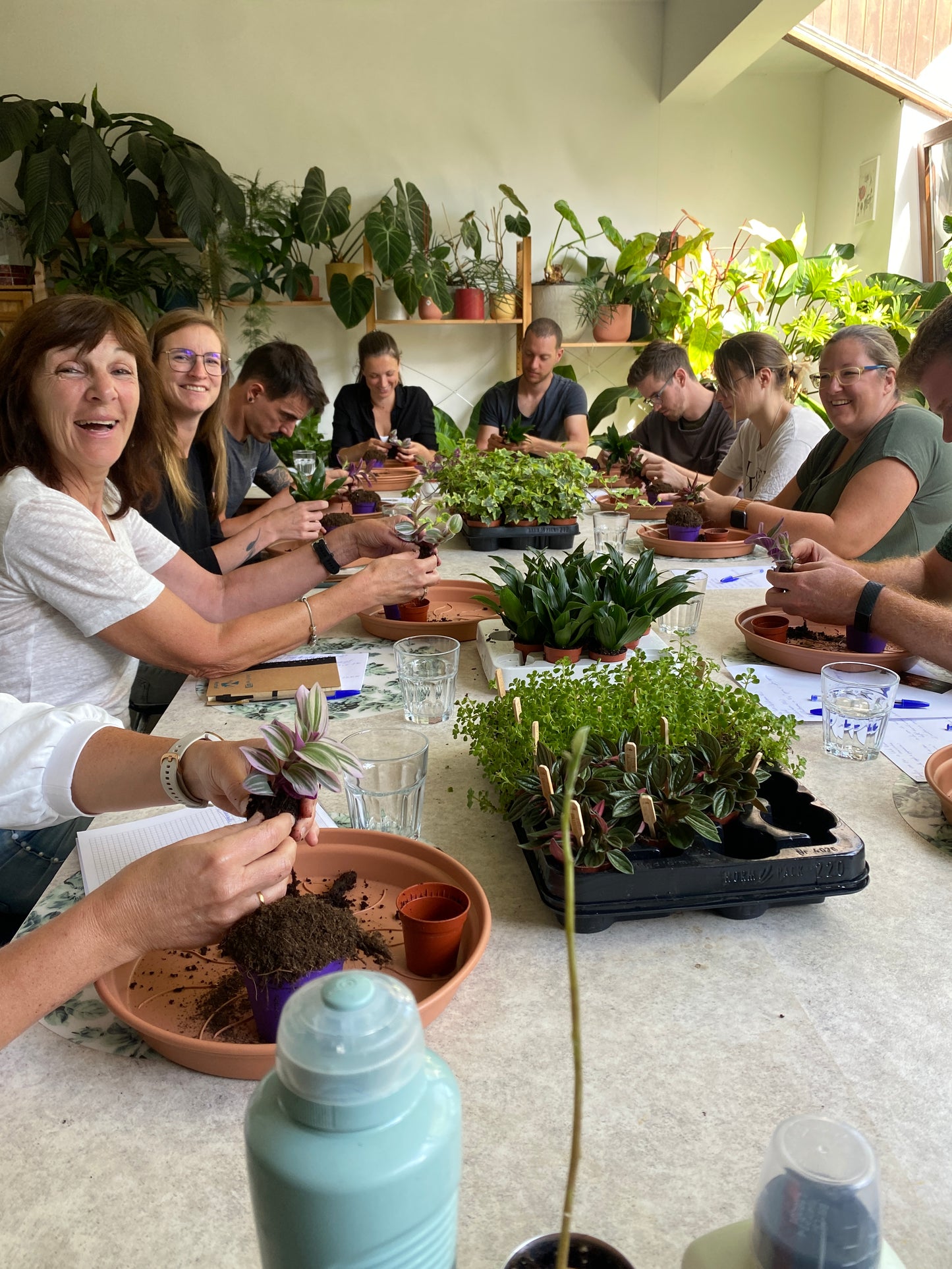 Workshop kamerplanten masterclass - planten verzorgen voor gevorderden