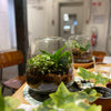 Kinderworkshop terrariums bouwen - groene vingers voor kinderen