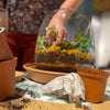 Kinderworkshop terrariums bouwen - groene vingers voor kinderen