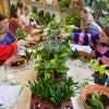 Workshop kamerplanten verzorgen & verpotten