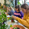 Workshop kamerplanten verzorgen & verpotten
