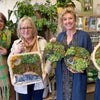 Workshop mosmuren bouwen
